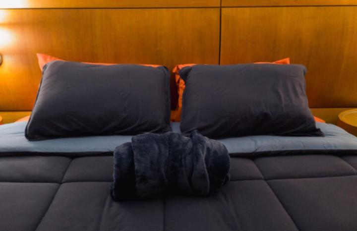The Best Deluxe - Duplex Studio - Hotel Slav Moema - By Luxxor 상파울루 외부 사진
